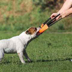Bull Fit tug toy close-up highlights sturdy double stitching and tear-resistance for long-lasting play.