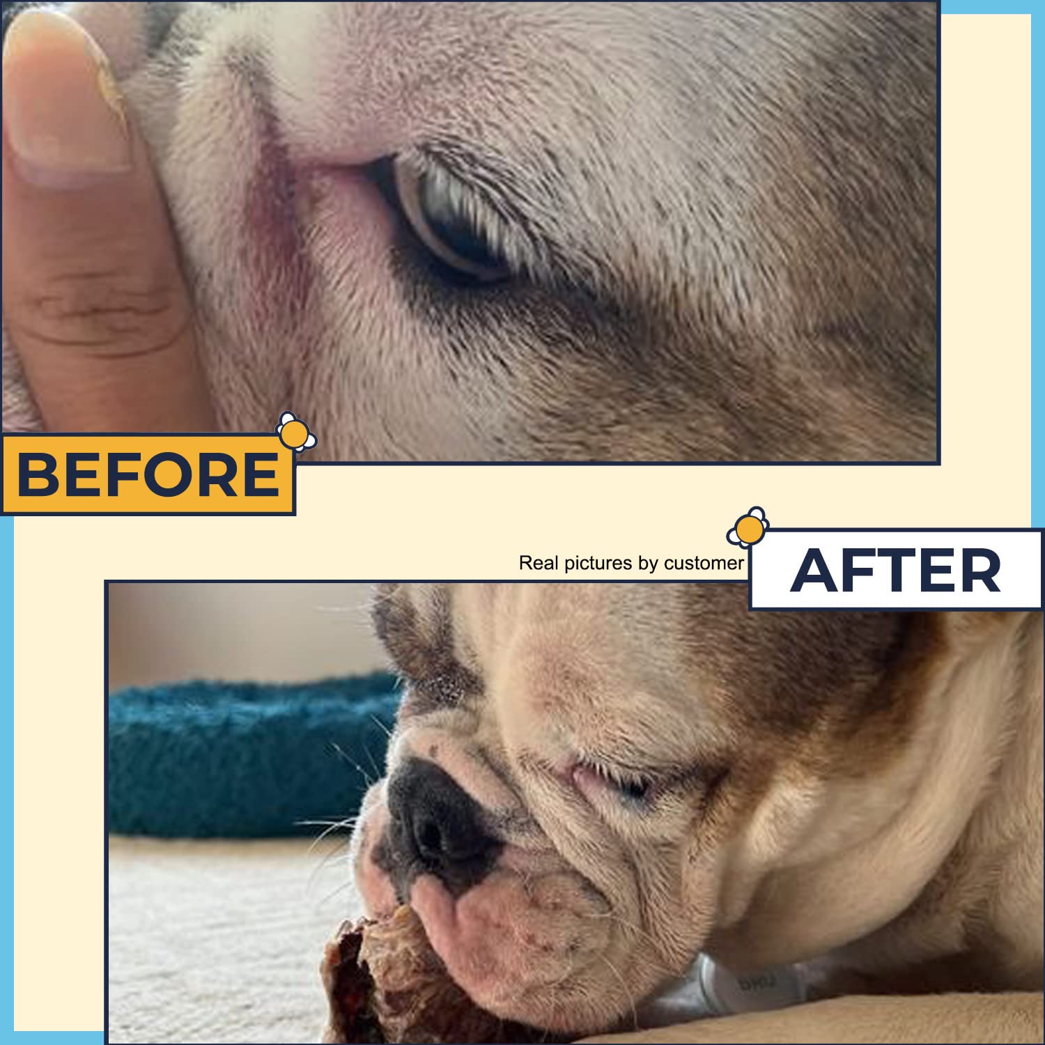 Two Pets and a Half nose and skin protection balm for bulldogs