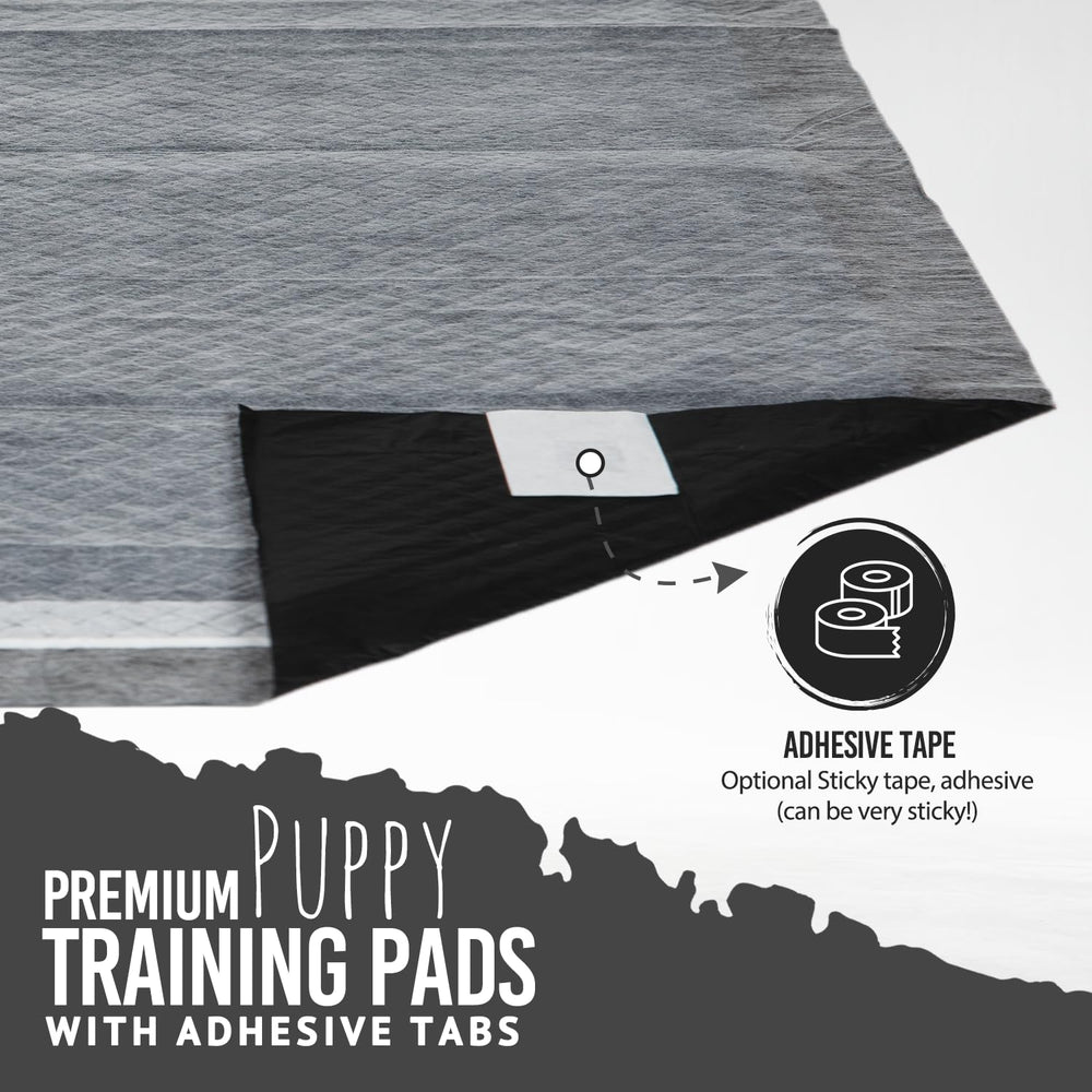 Bulldogology adhesive-tape demonstration shows pad stability on floors.