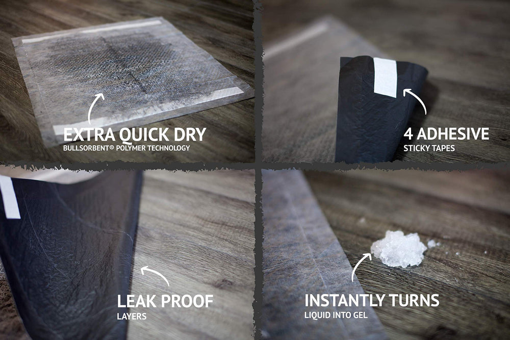Bulldogology odor-control pads in home scenario emphasize maintained cleanliness.