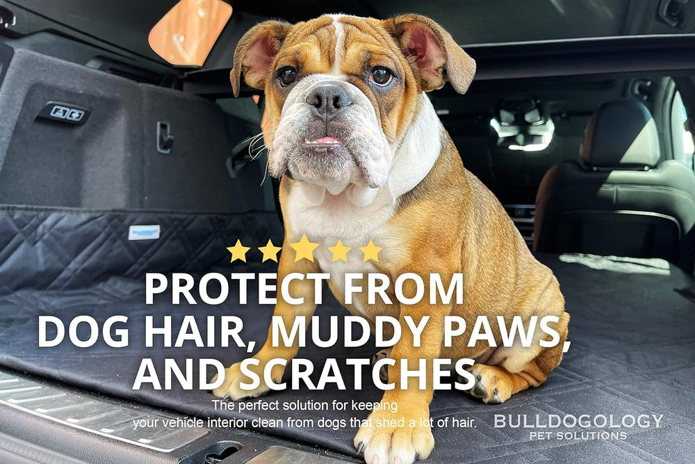Bulldogology SUV Cargo Liner dog-travel setup for clean, protected cargo.