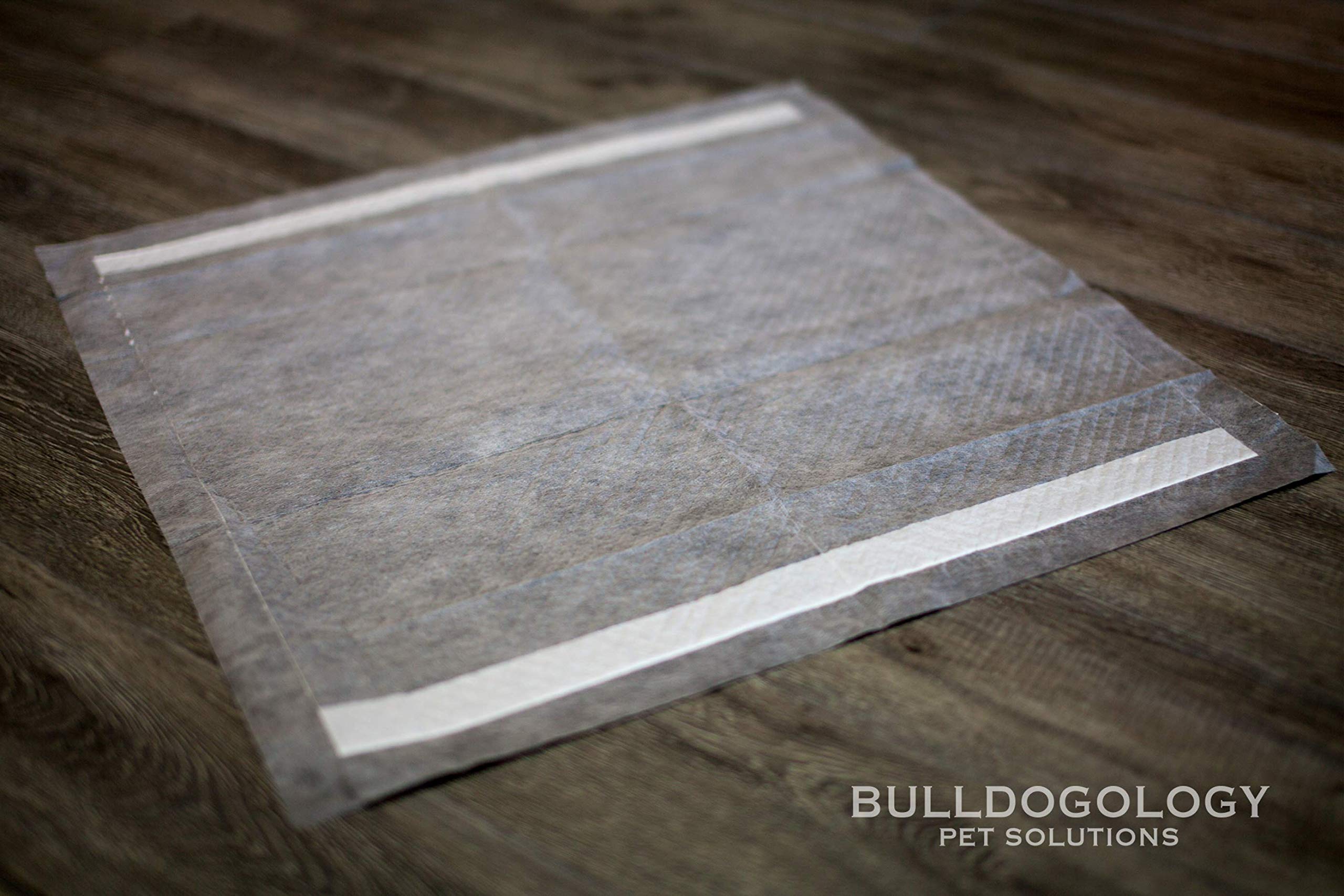 Bulldogology training pads apartment-use visual highlights convenient housebreaking.