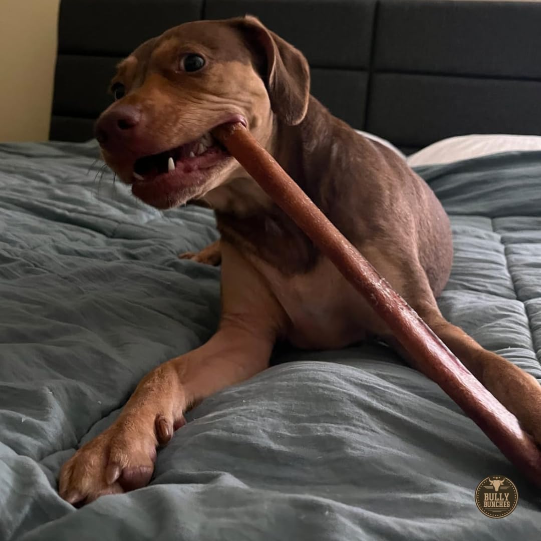 Bully Bunches dental-health-focused chew aids tooth cleaning through gnawing