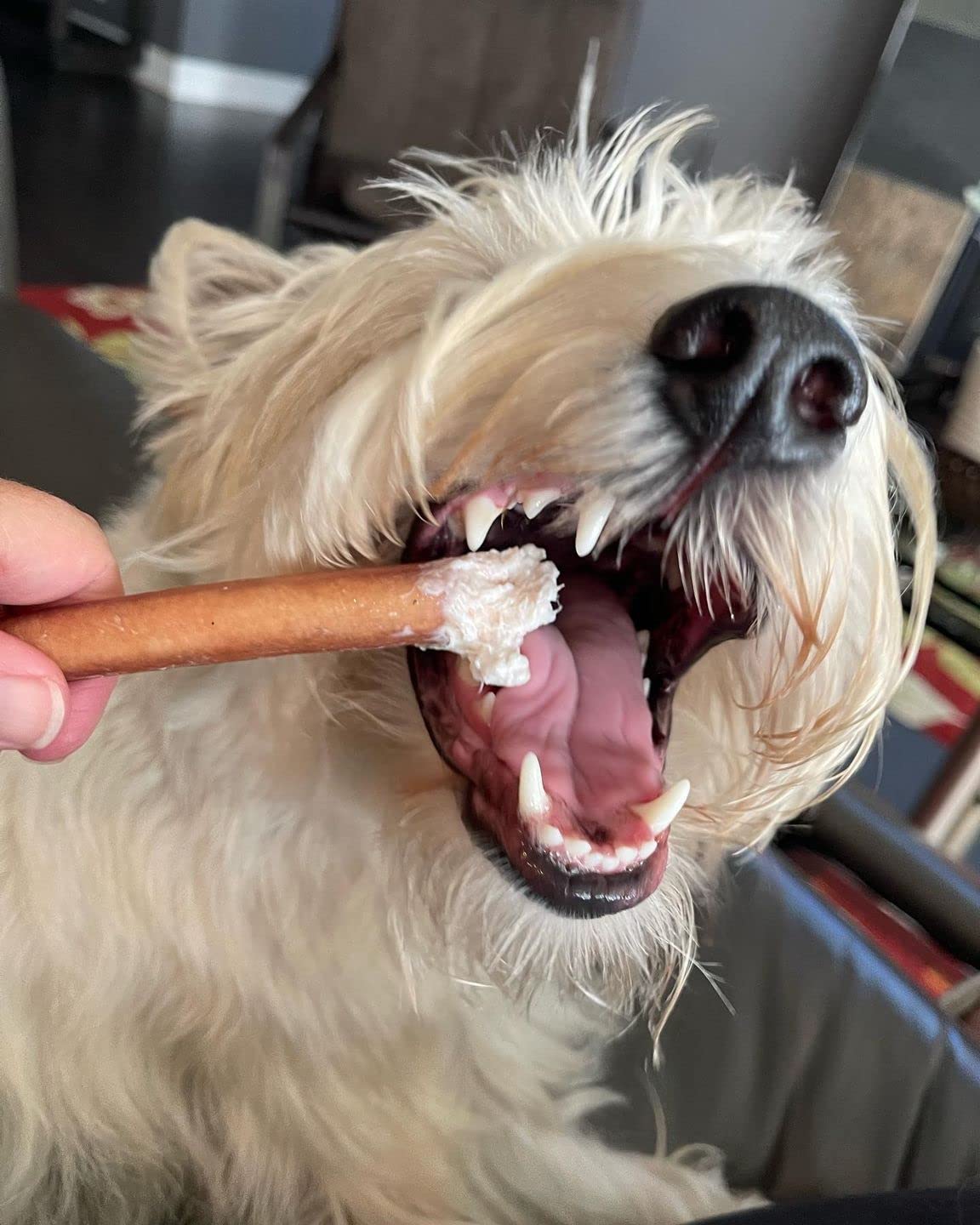 Bully Bunches free-range beef chew single-ingredient treat for dogs