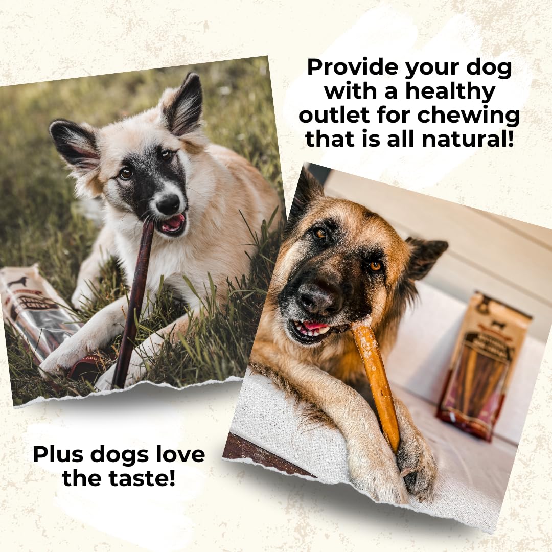Free-range beef single-ingredient Bully Bunches supports natural dog nutrition.