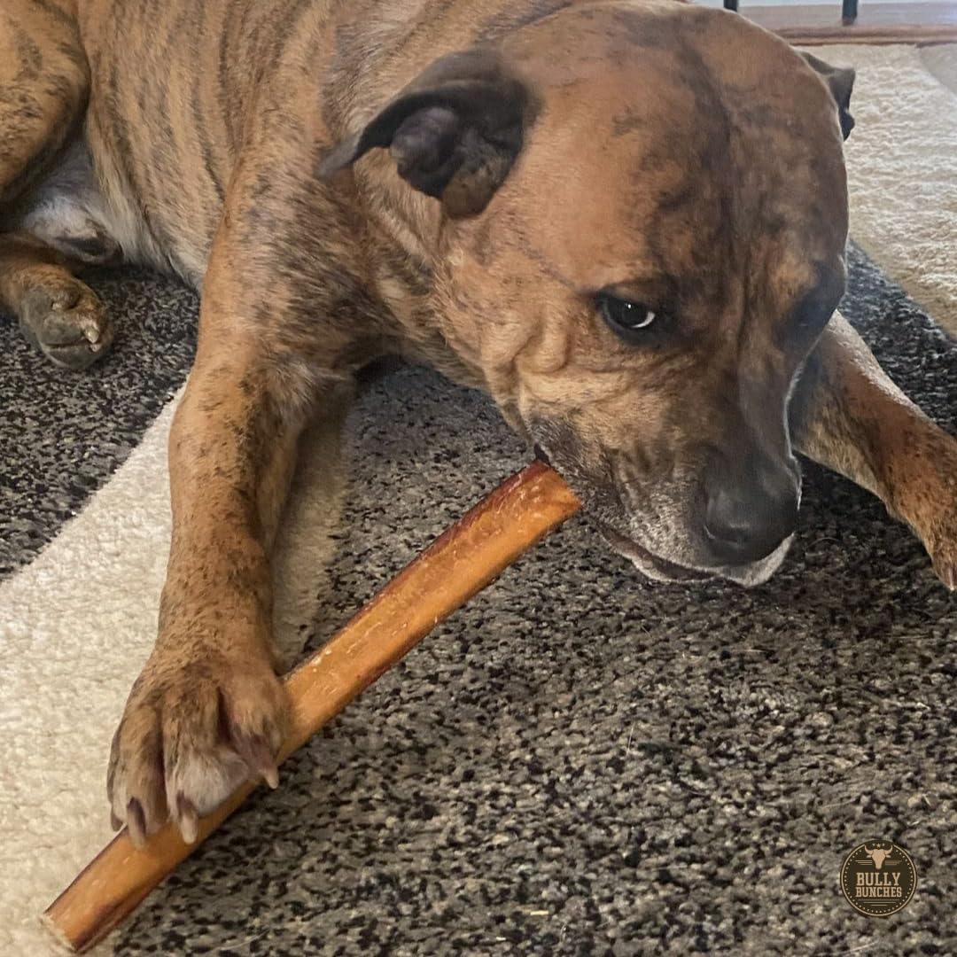 Bully Bunches free-range Brazilian cattle beef chew with ethical sourcing