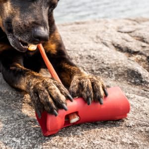Bully Bunches Mega Hold holder on a dog during a chew session