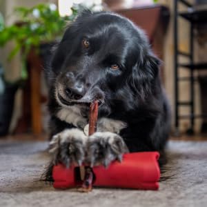 Bully Bunches Mega Hold holder supports a variety of chews
