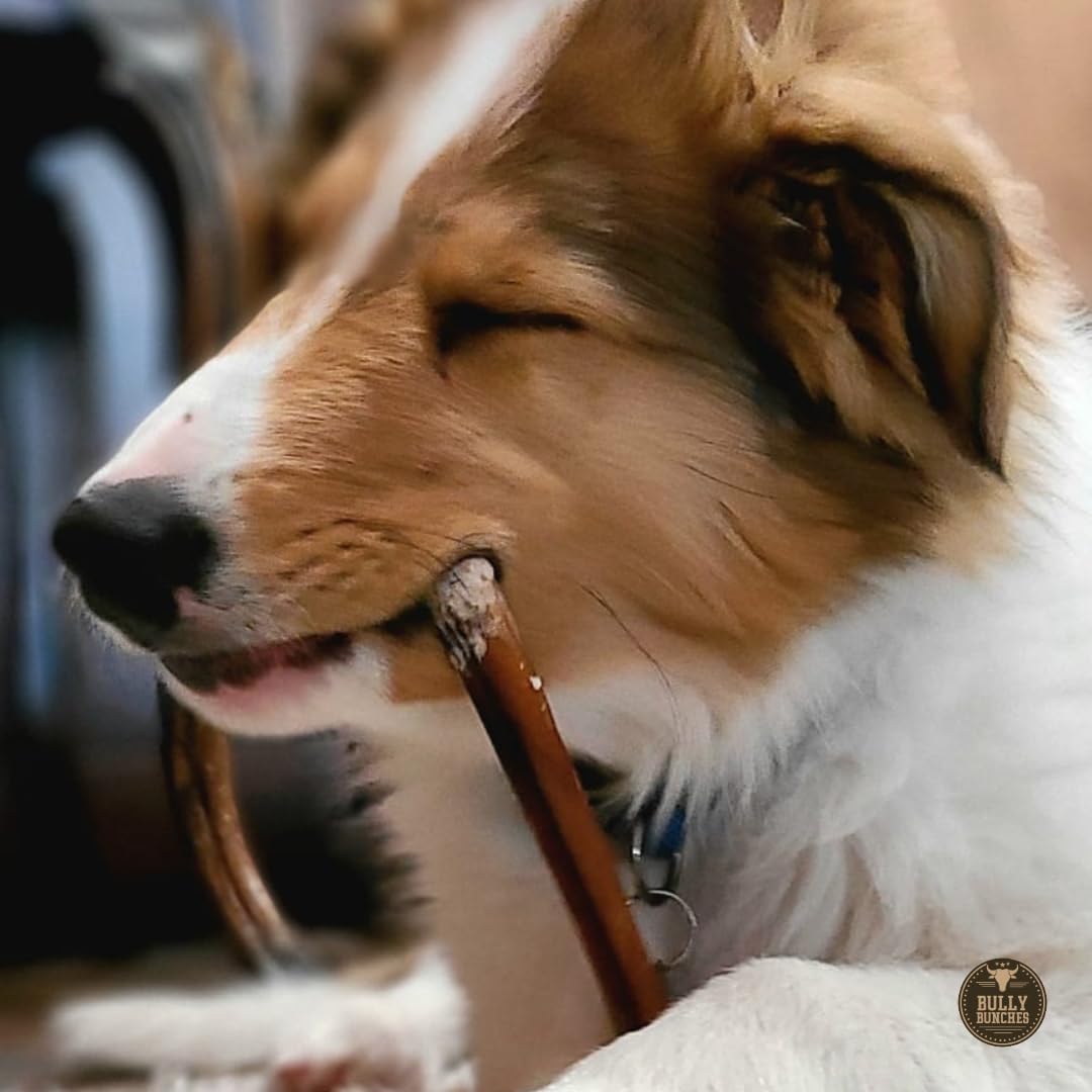 Bully Bunches puppy-friendly chew keeps puppies engaged during training