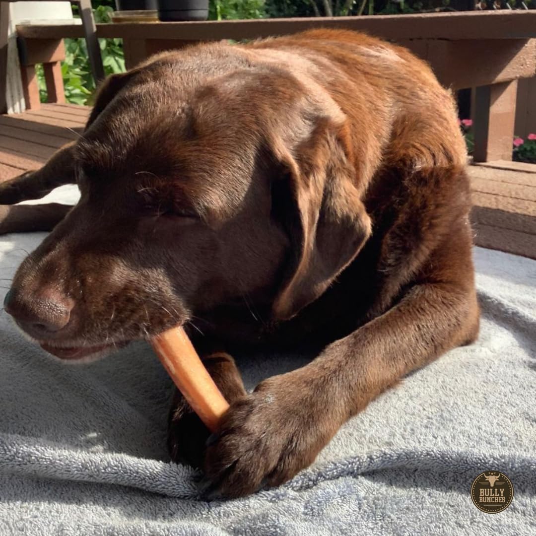 Bully Bunches single-ingredient-dog-treat simple, natural beef chew.