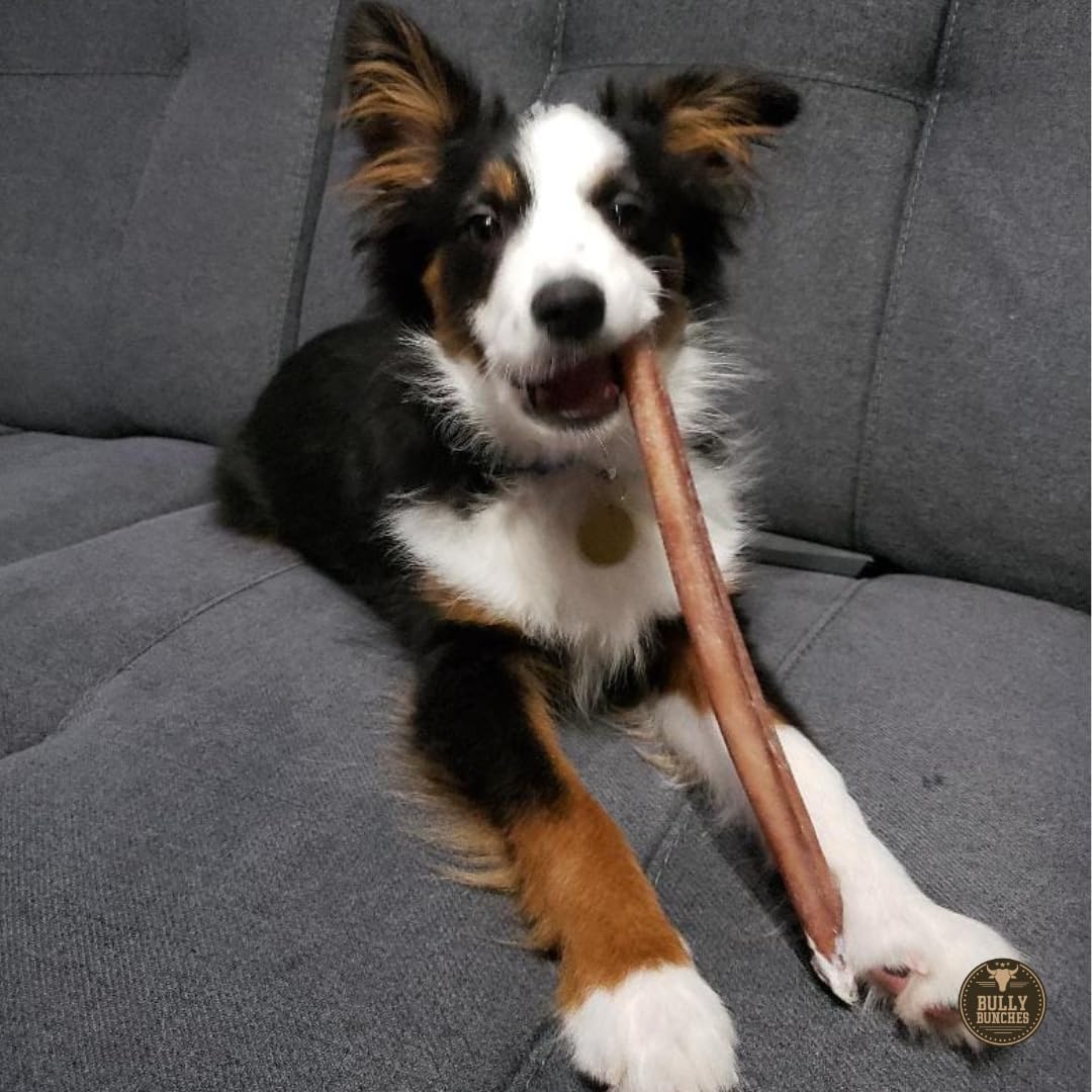 Bully Bunches 12-inch size ideal for small-to-medium dogs