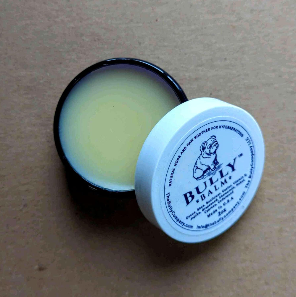 Bully Balm on a dog’s snout during treatment.