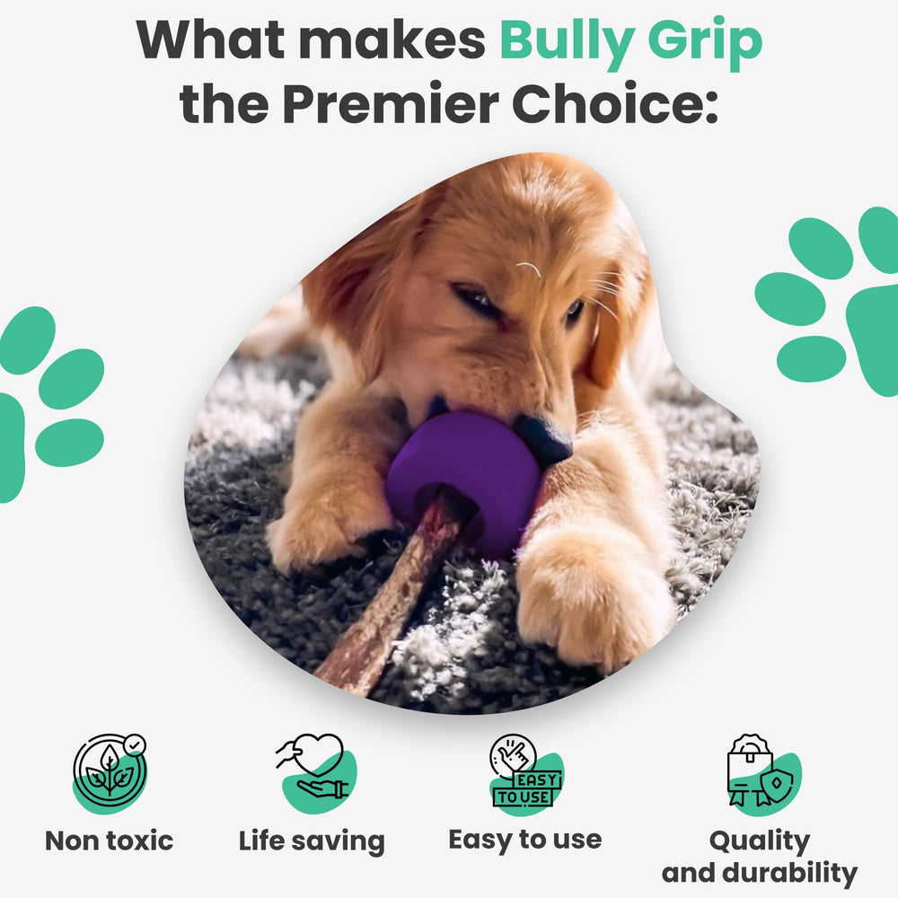 Bully Grip slow-feeder and treat-dispenser promotes extended, engaging feeding.