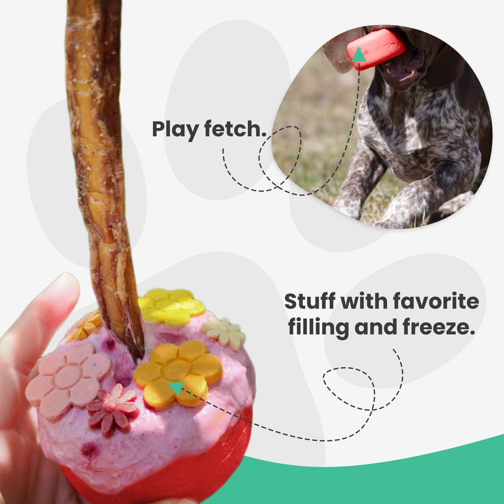 Bully Grip positioned on the thickest part of a bully stick for secure hold.