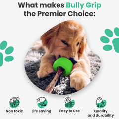Bully Grip treat-stick-inside highlights secure seating of the stick for extended chewing sessions