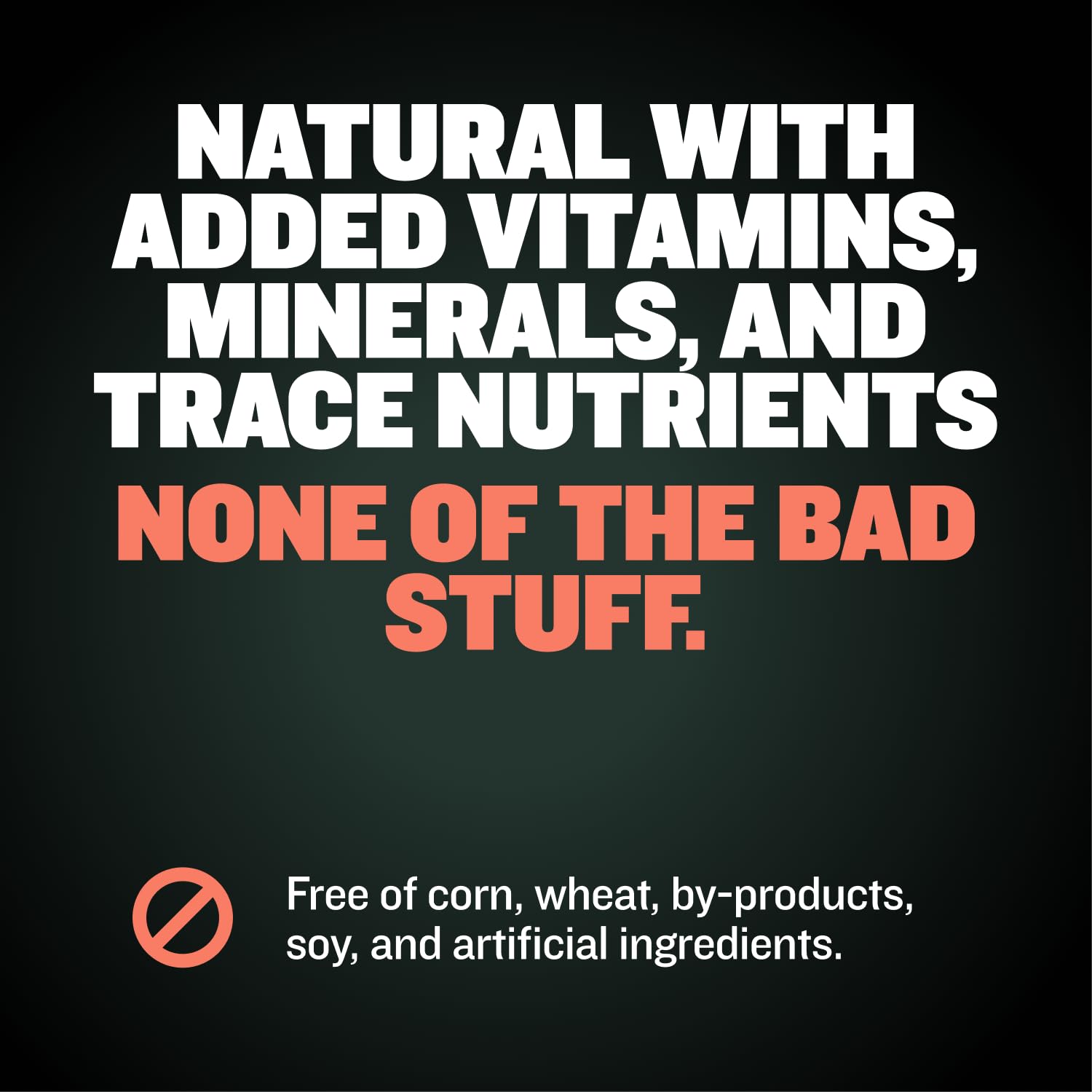 Bully Max 2-in-1 puppy chews packaging label signaling made-in-USA quality.