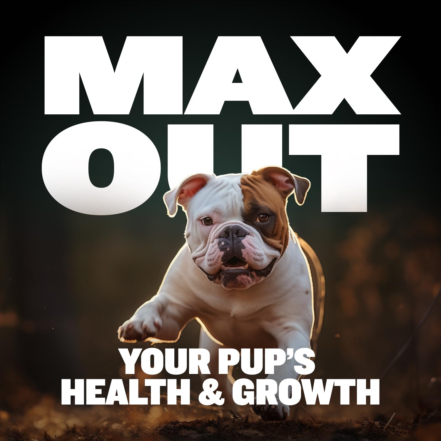 Bully Max 2-in-1 puppy chews probiotics glow promoting gut health.