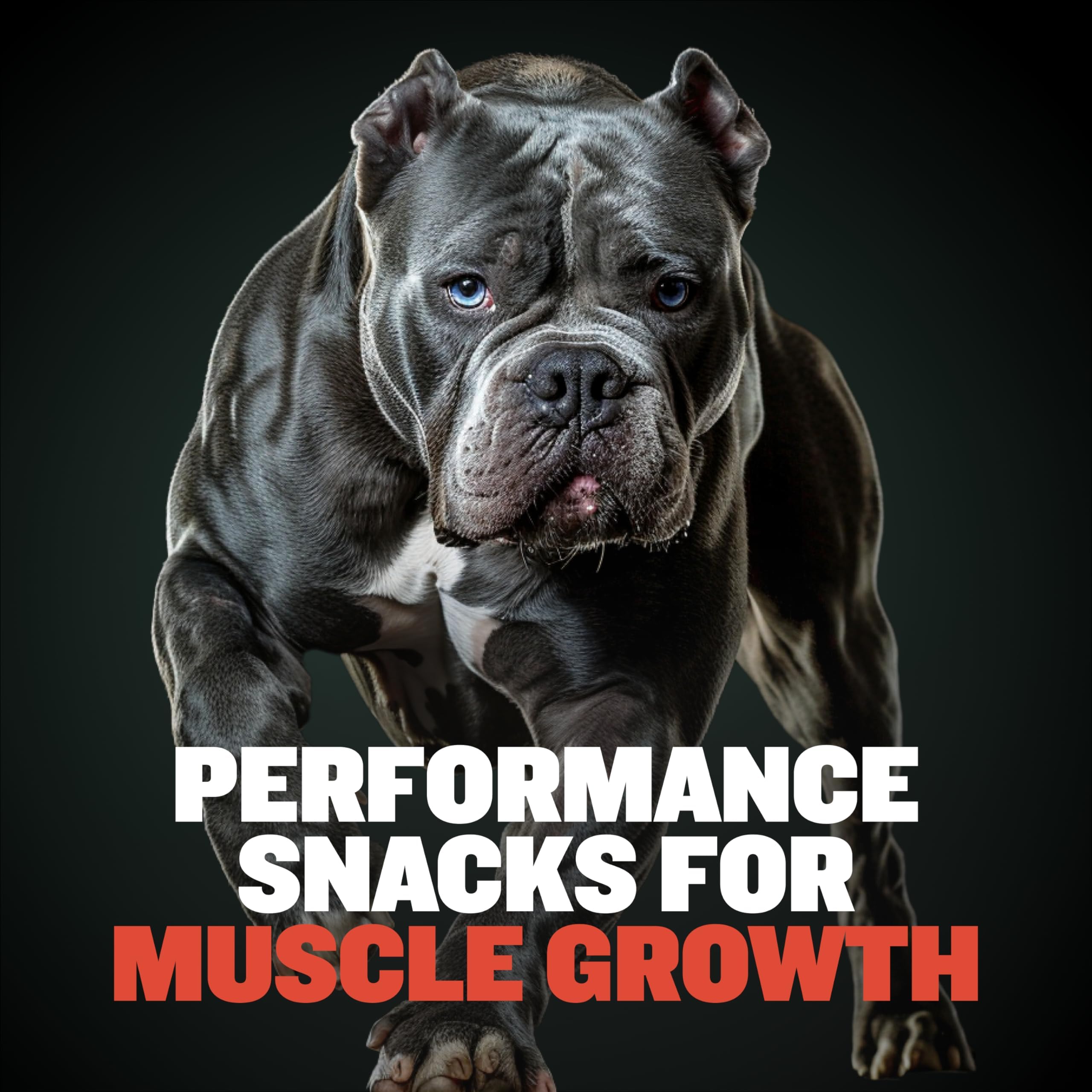 Bully Max 32 percent protein high protein treats for muscle-ready dogs