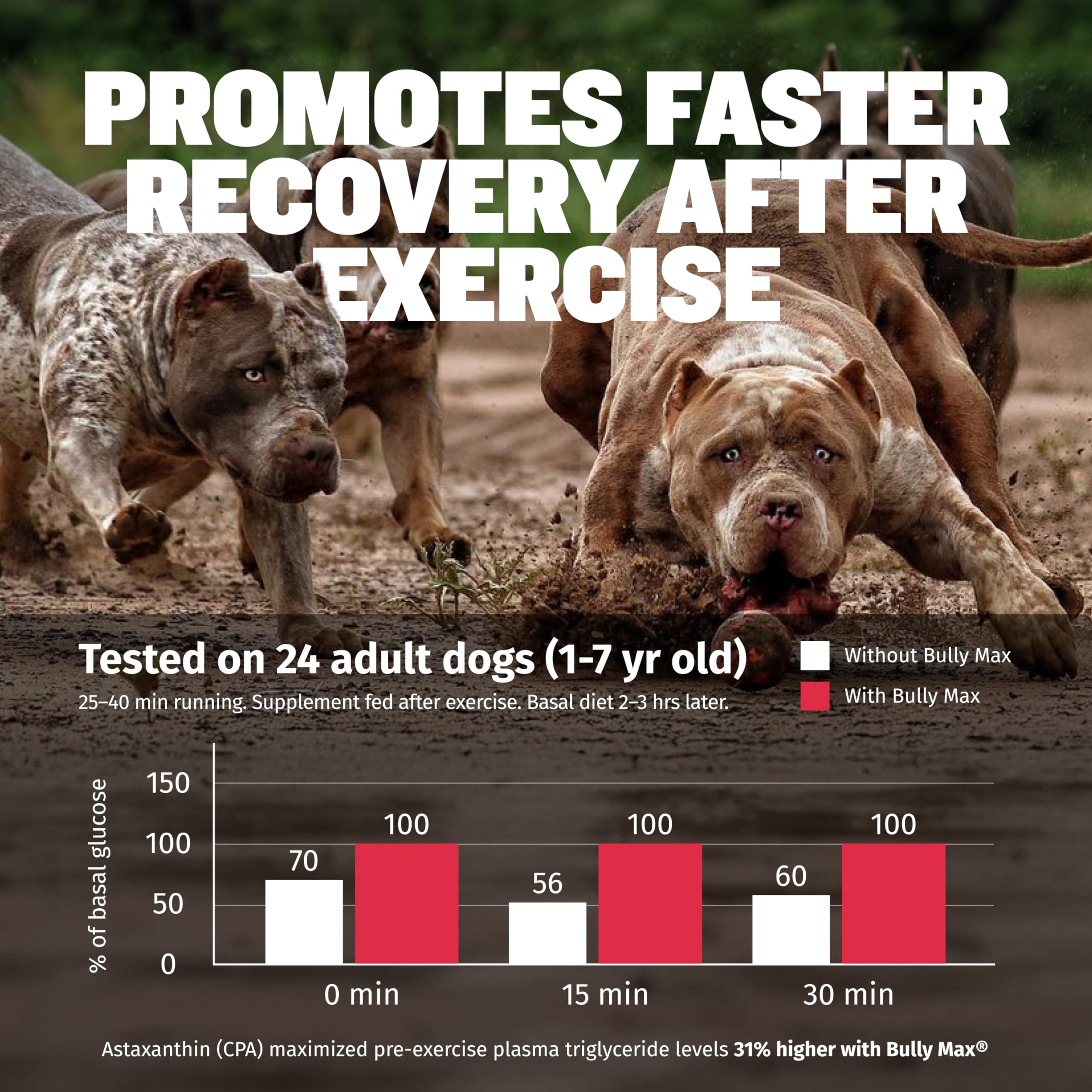 Bully Max liquid-muscle-builder-usa-made-vet-approved reinforces trusted, high-quality canine nutrition.