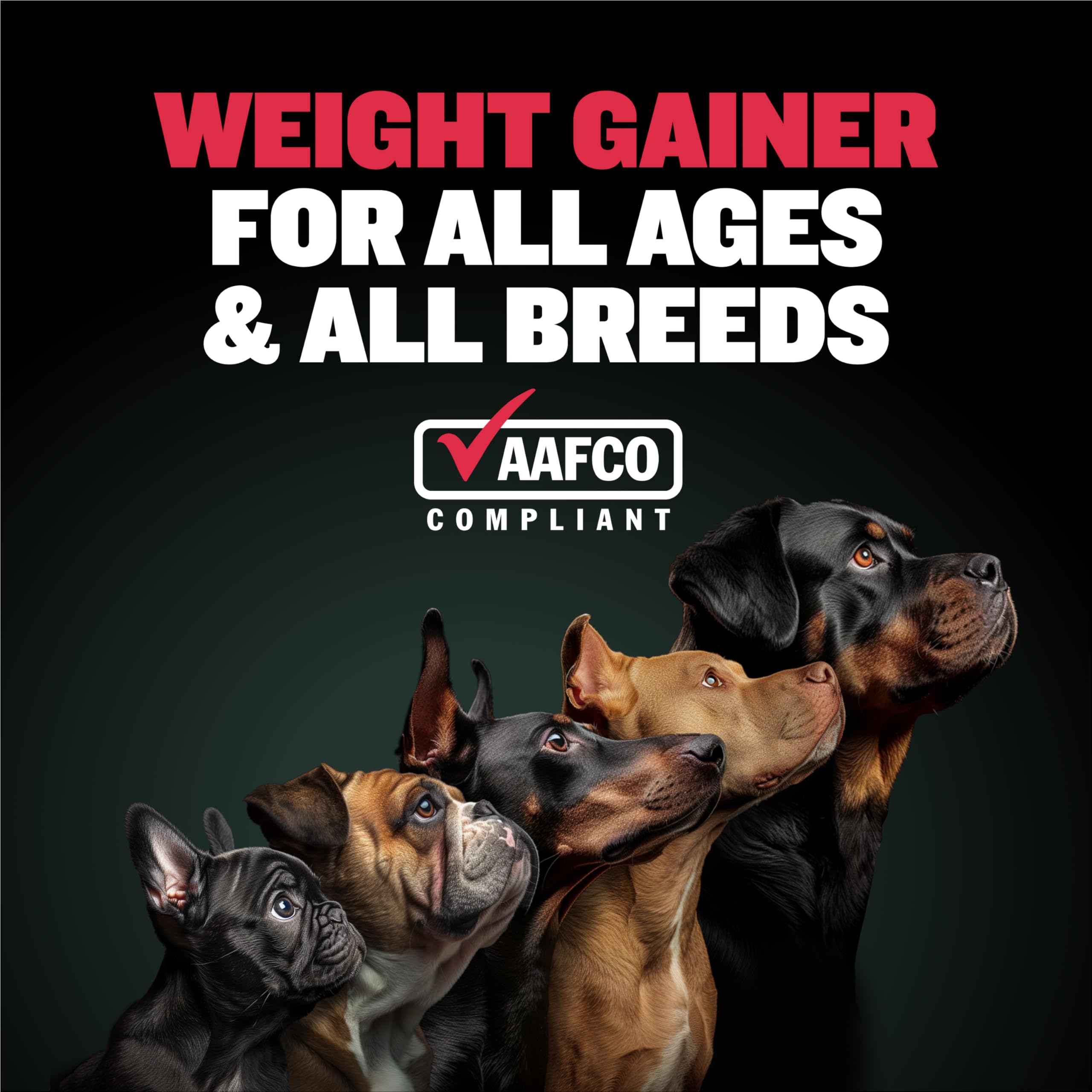 Bully Max liquid weight gainer used as a food topper for added calories.