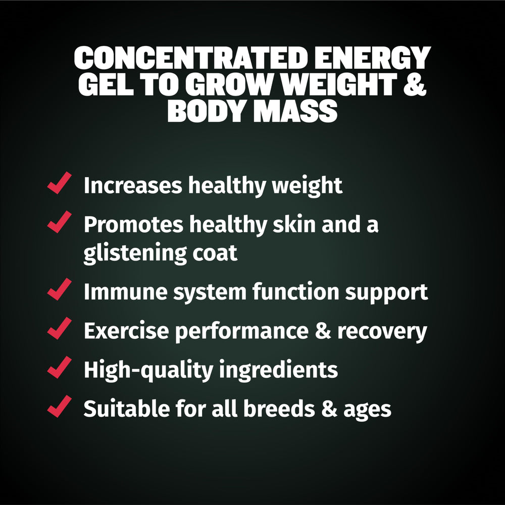Bully Max liquid weight gainer packaging emphasizes USA-made quality.