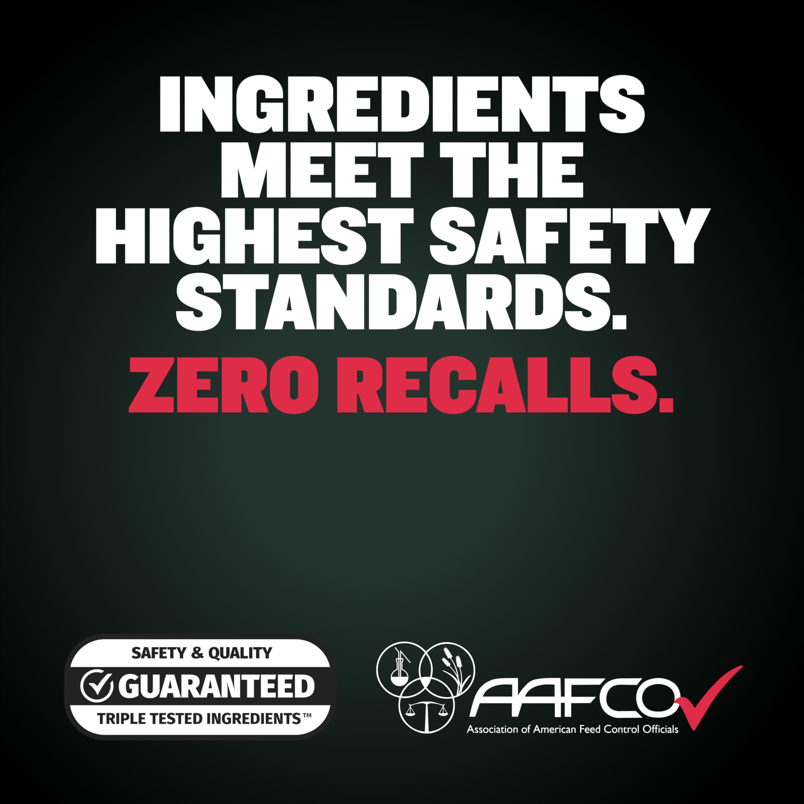 Bully Max growth-scene featuring a pitbull during active play.