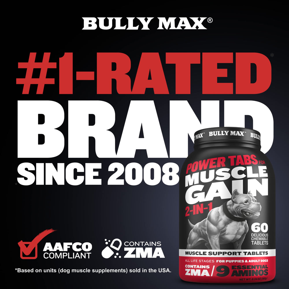 Bully Max Power Tabs chew time image shows a dog enjoying a tasty supplement for muscle support.