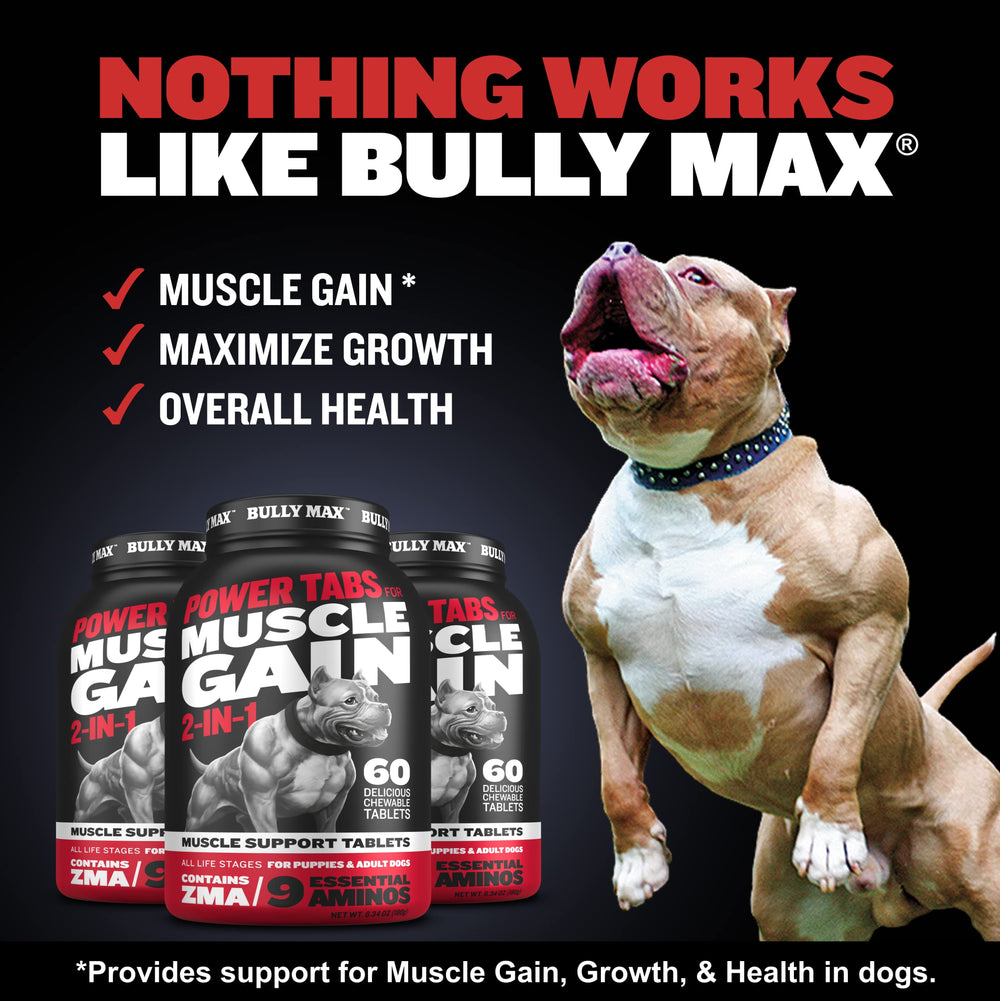 Bully Max Power Tabs tablets closeup highlight natural ingredients and easy dosing for muscle support.
