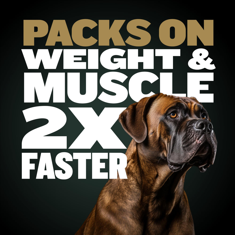 Bully Max Pro 2X bag with digestive-support ingredients and scoop