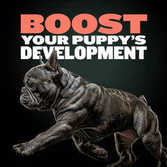 Bully Max Puppy Training Treats DHA close-up—brain development support in every bite