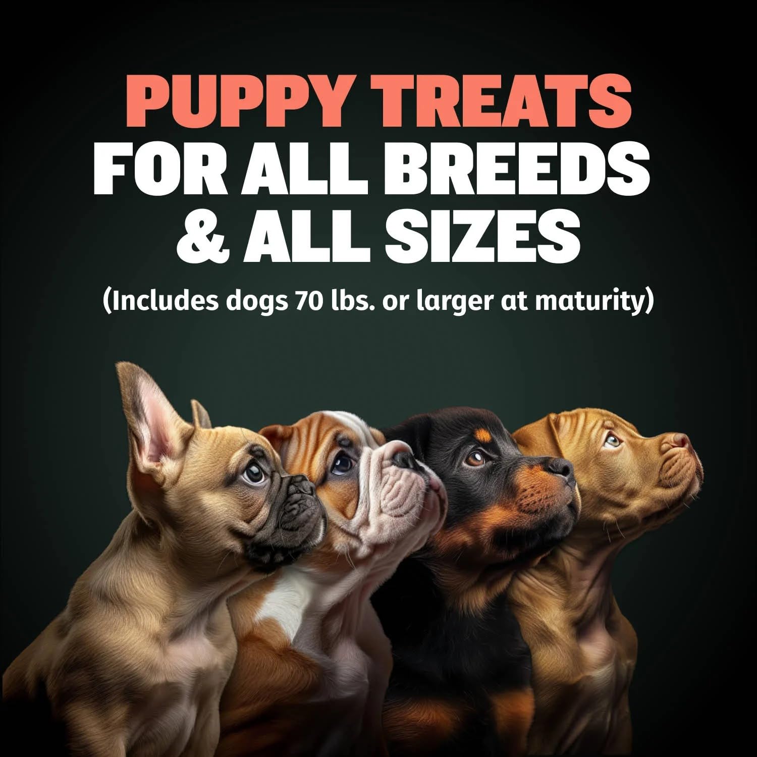 Bully Max Puppy Training Treats food topper close-up—versatile daily nutrition boost