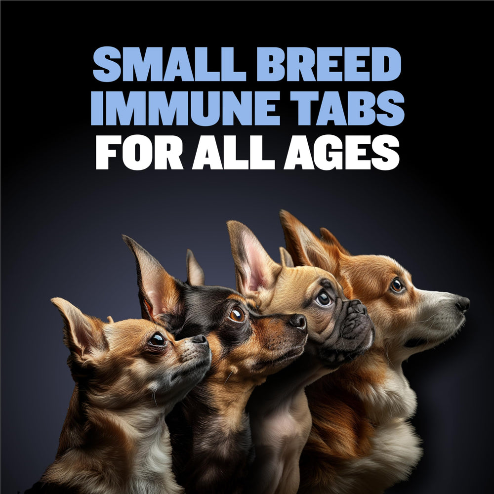 Bully Max immune tablets chewable pills ready as tasty treats for daily nutrition.