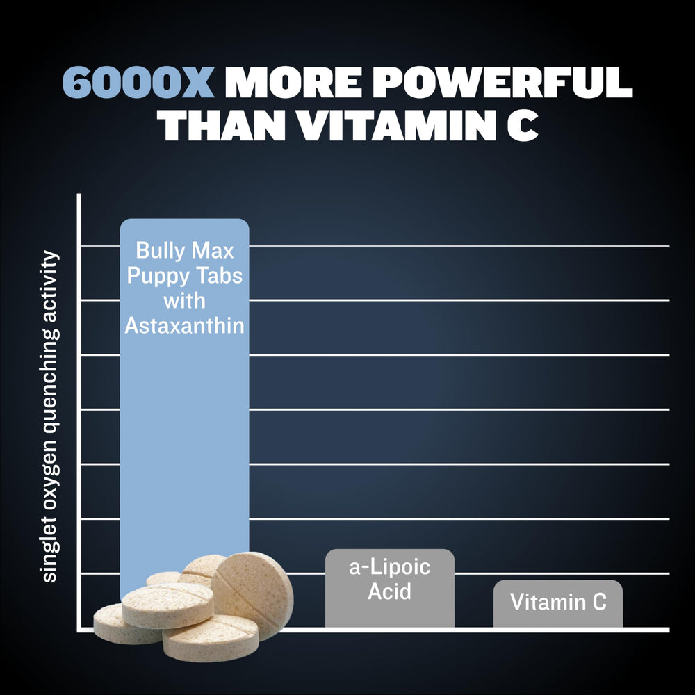 Bully Max colostrum-infused chewables with liquid gold antibodies for nourishment.
