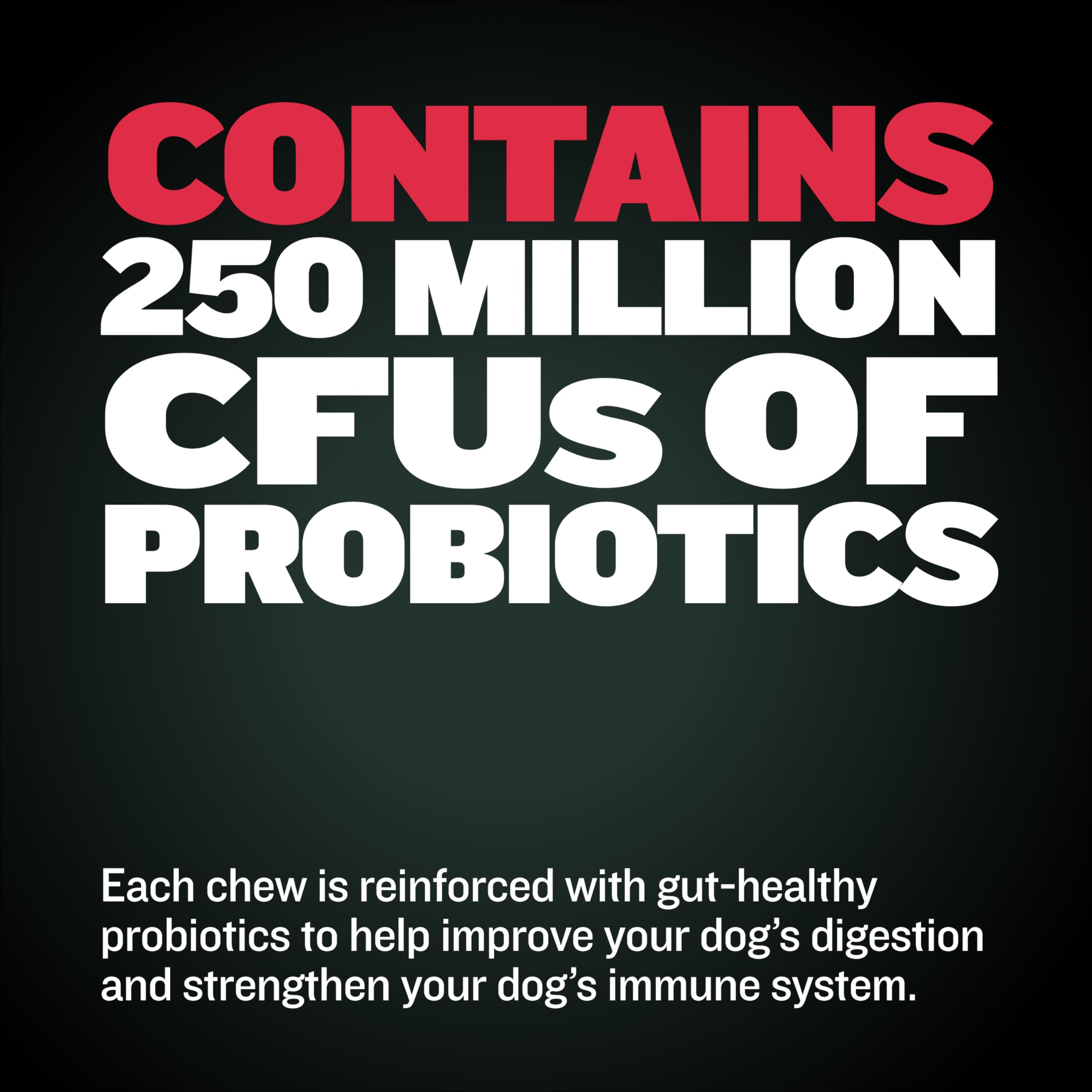 Bully Max Weight Gainer puppy enjoying chews demonstrates tasty growth support.