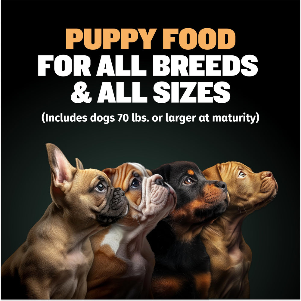 Close-up of real chicken ingredient in Bully-Max Wet Puppy Food.