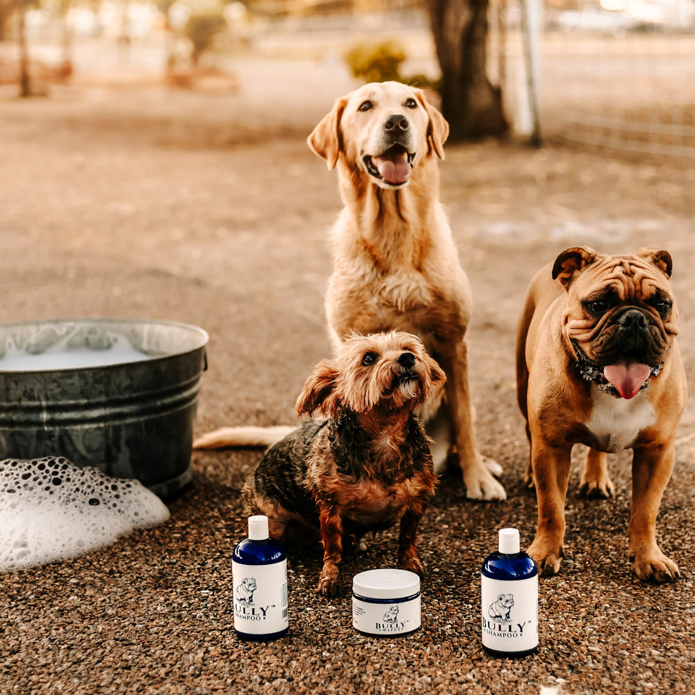 The Bully Company bully shampoo bottle with suds suggests quick grooming prep.
