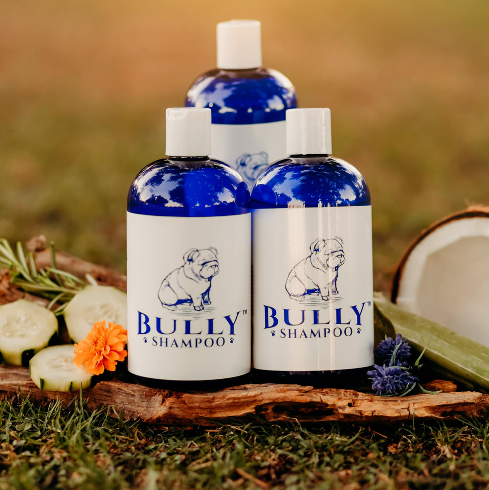 The Bully Company bully shampoo coats Bulldog fur with shine and softness.
