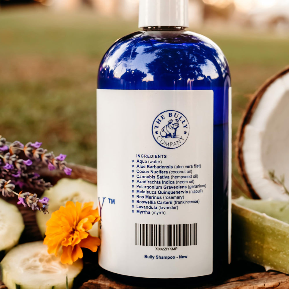 The Bully Company bully shampoo with herbs promotes a healthy coat barrier.