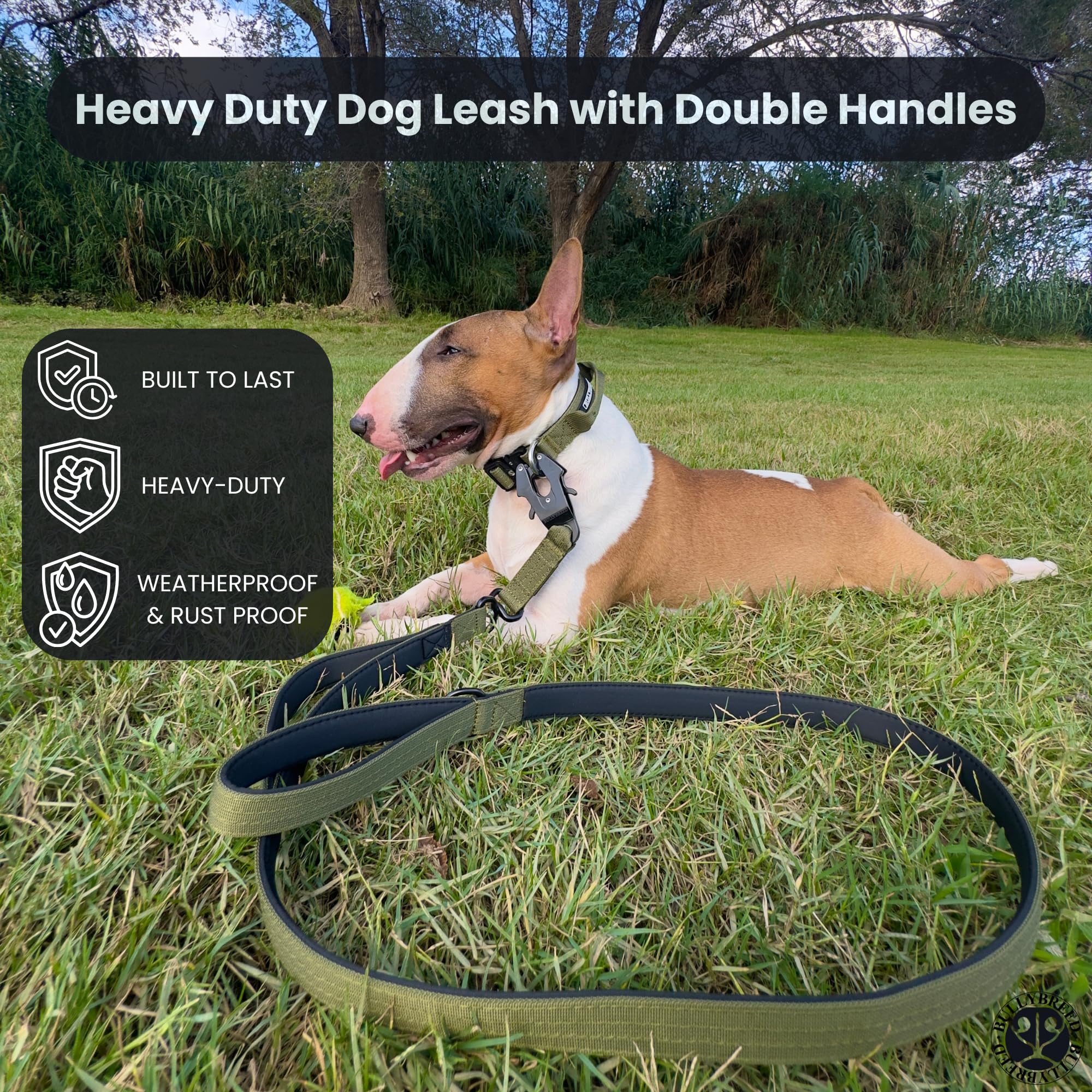BULLYBREED Dark-brown finish collar ready for outdoor adventures and trails.