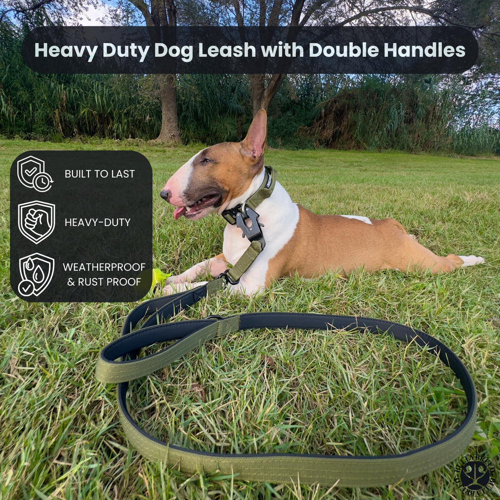 BULLYBREED Dark-brown finish collar ready for outdoor adventures and trails.