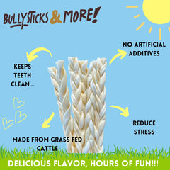 BULLYSTICKS & MORE beef cheek braids dog chewing for boredom relief.