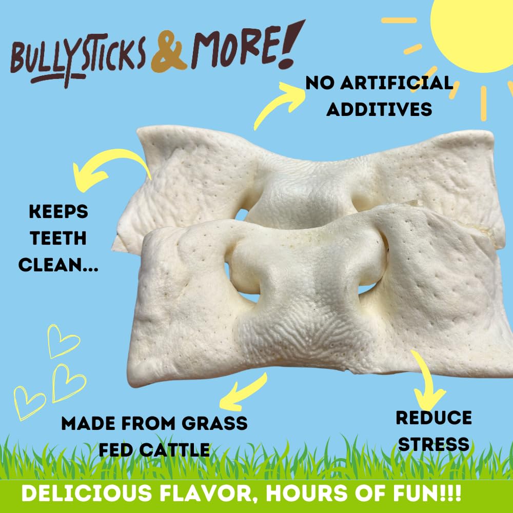 Bullysticks & More dog chewing beef cheek snout during play for boredom relief