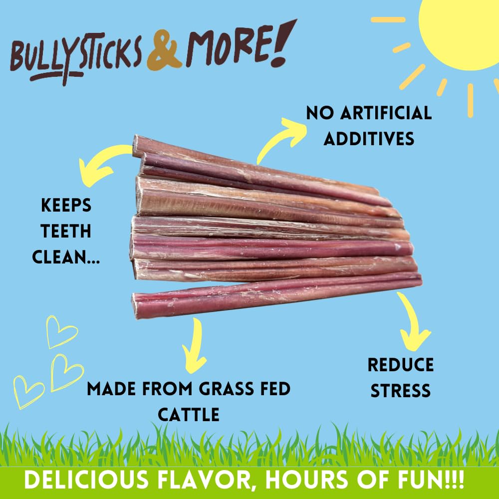 BULLYSTICKS & MORE medium dog chew session closeup demonstrates engaging boredom relief.