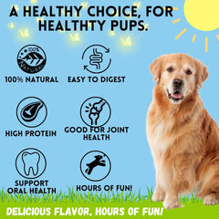 BULLYSTICKS & MORE no-hide bully alternative shown as durable, digestible treat.