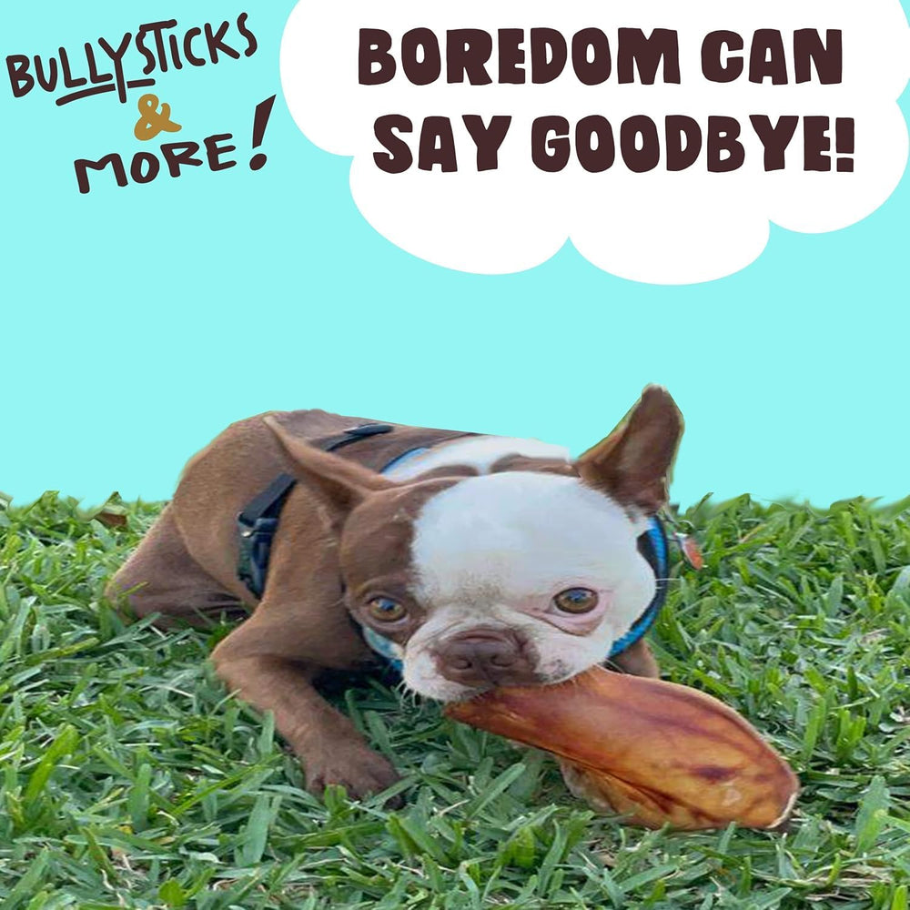 Bullysticks & More pig ears training reward image for training sessions.