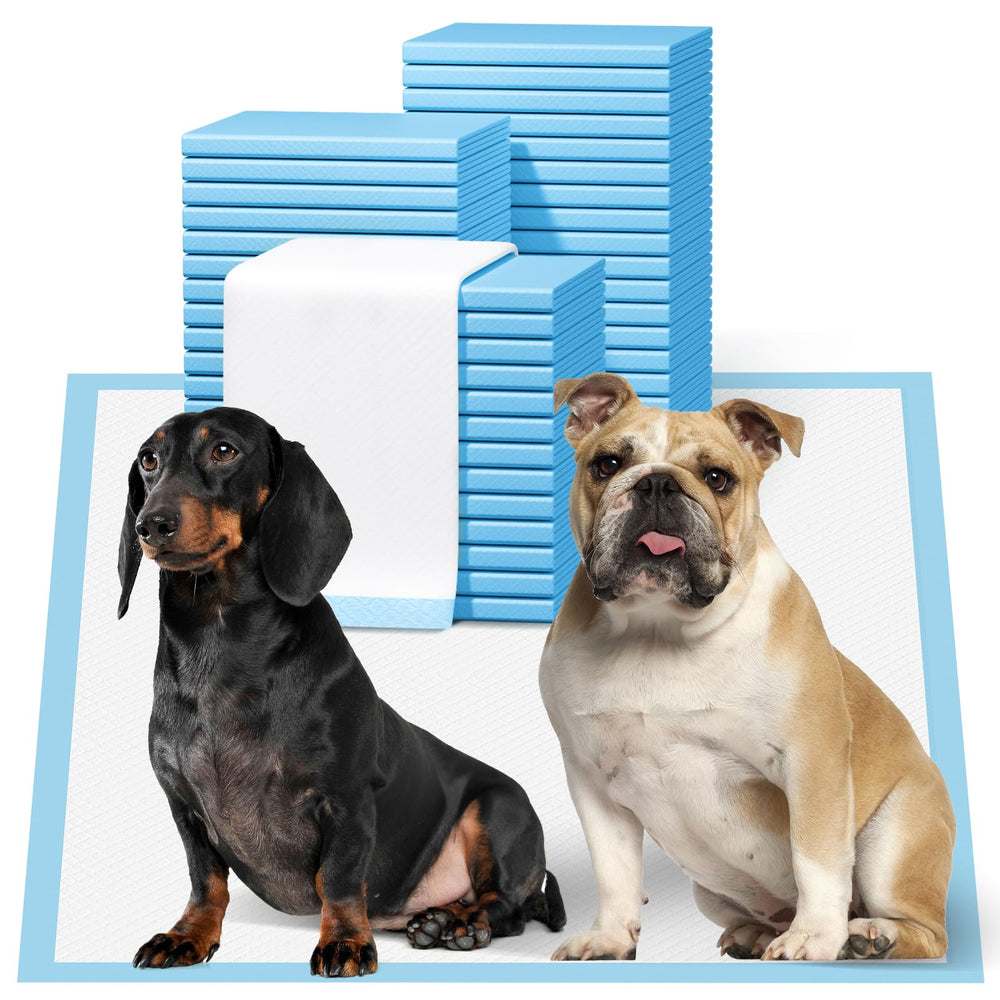 Bulubaky puppy pad full surface 23x23 offers ample training space for puppies