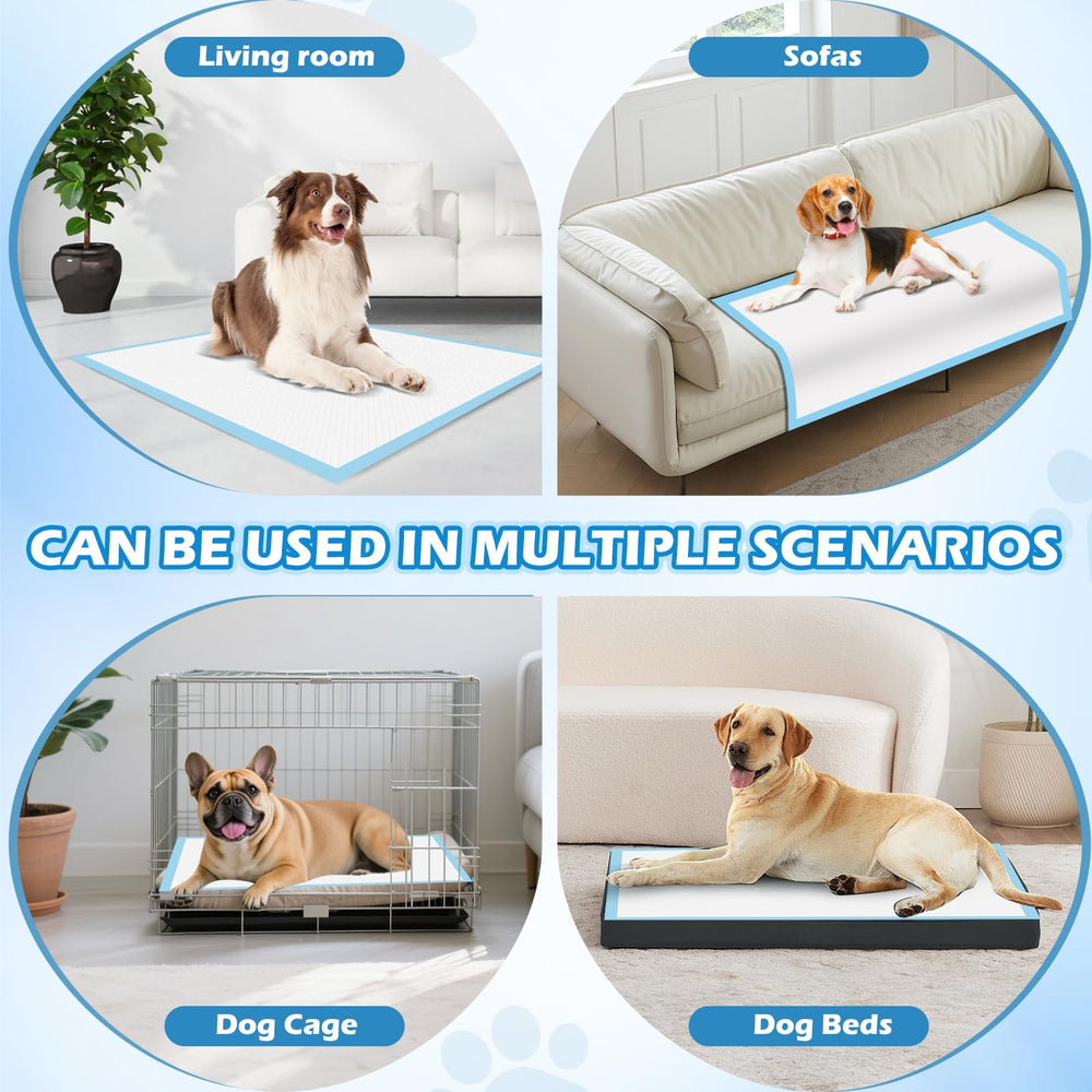 Bulubaky puppy pad usage scene demonstrates training in busy homes