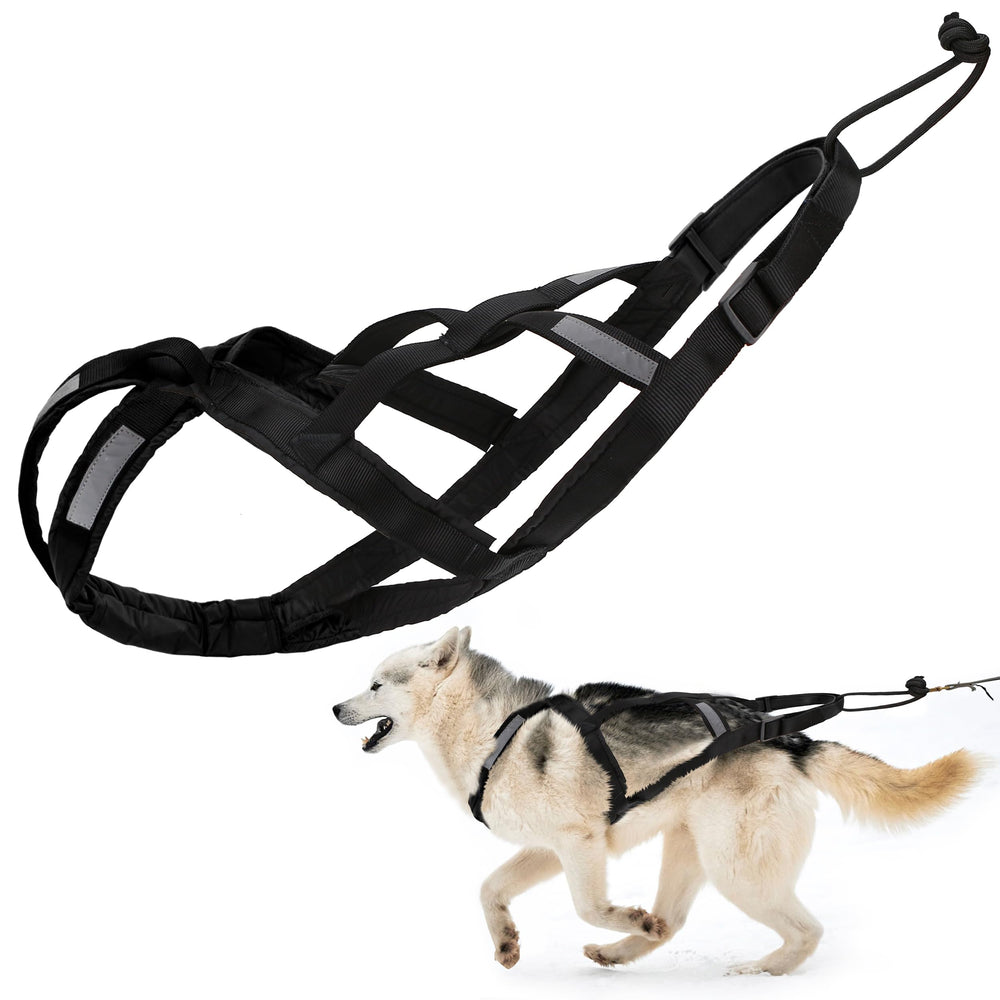 BuleVina dog pulling harness L Black closeup shows neck padding for comfortable control.