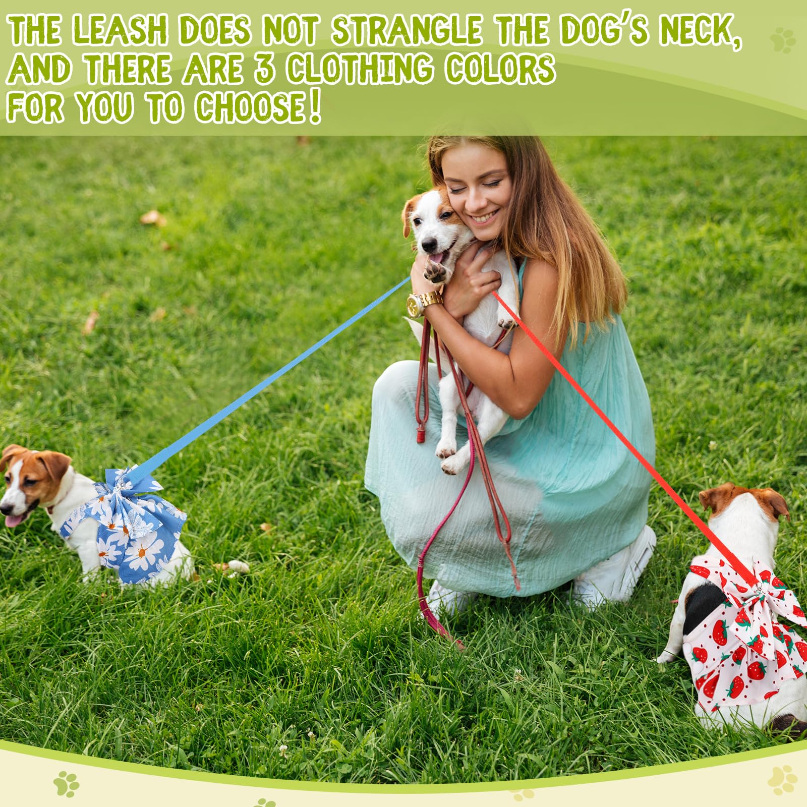 Bulyoou back leash design image shows secure daily walks.