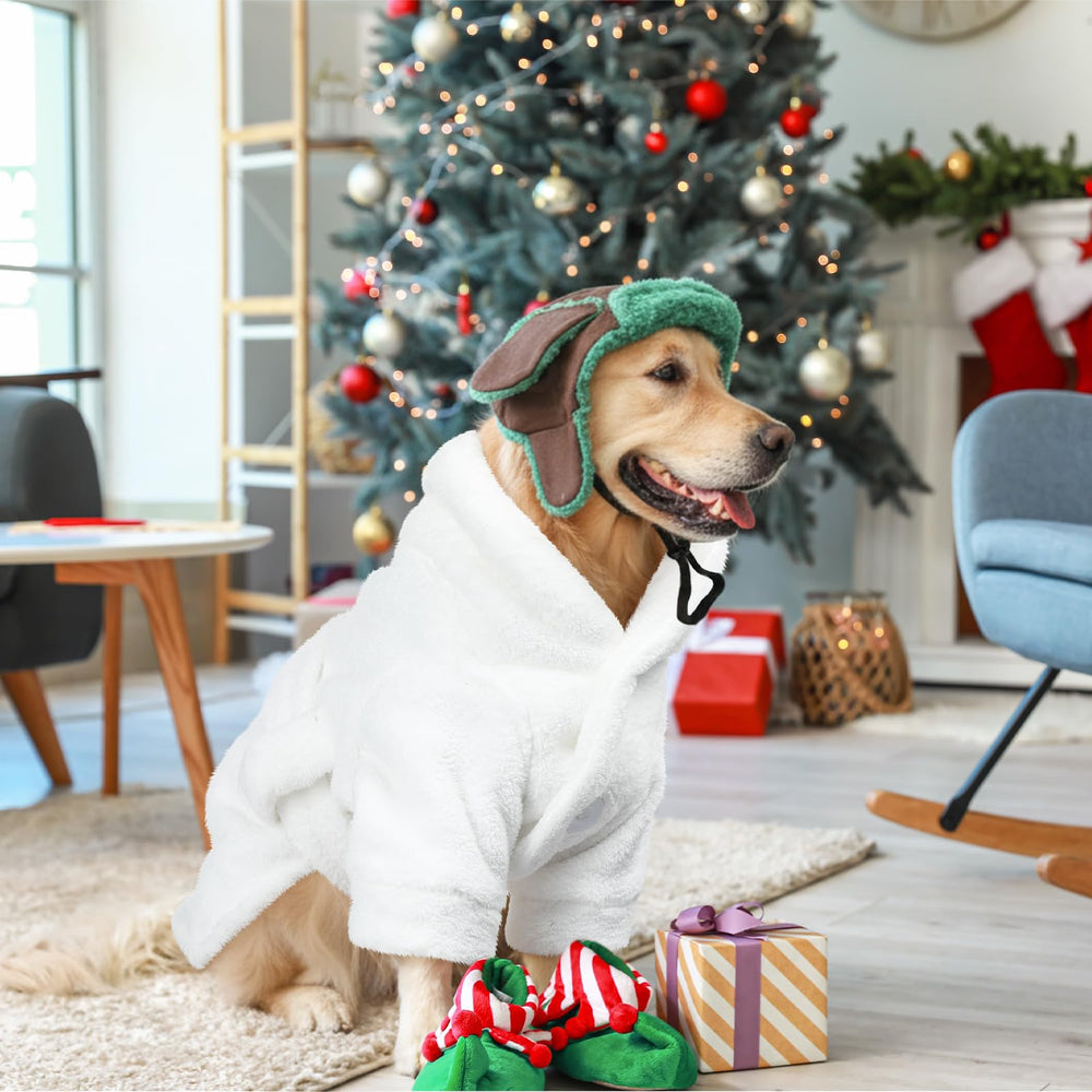 Bulyoou dog costume ready for holiday photoshoot and cosplay
